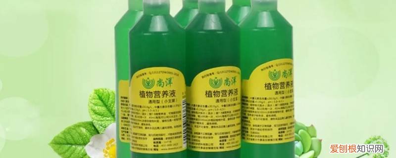 尚洋植物营养液适合各种绿植吗 尚洋植物营养液适合各种绿植吗
