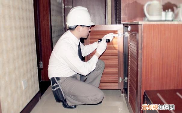 家里有臭虫怎么办不用怕！小编教您怎么灭臭虫！