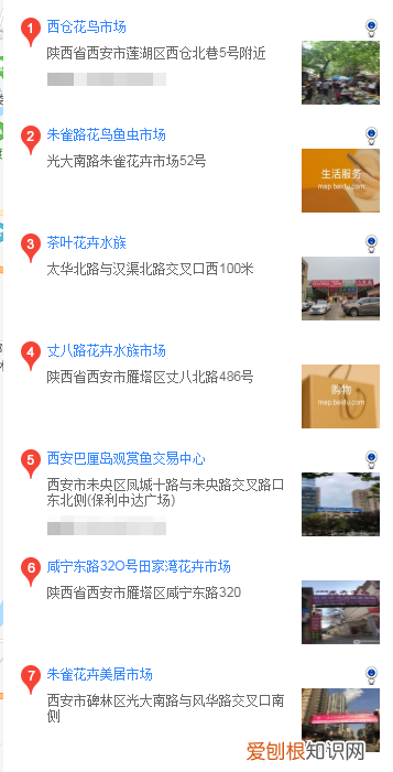 西安哪里买英斗犬 西安什么地方可以买蝴蝶犬