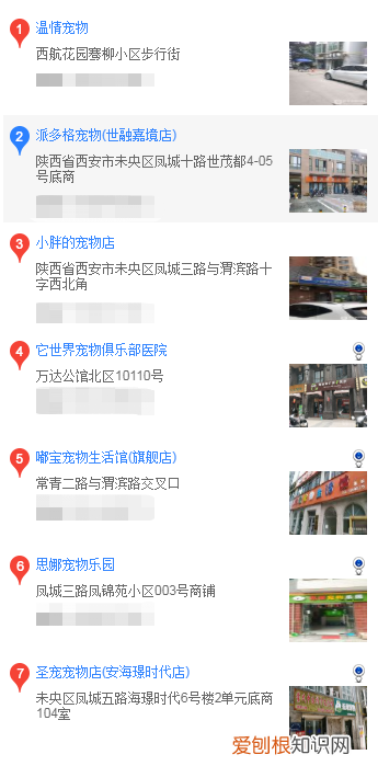 西安哪里买英斗犬 西安什么地方可以买蝴蝶犬