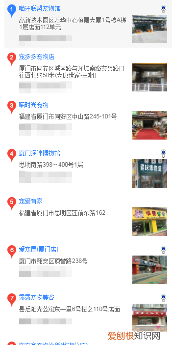 厦门哪里买蝴蝶犬 厦门什么地方可以买蝴蝶犬