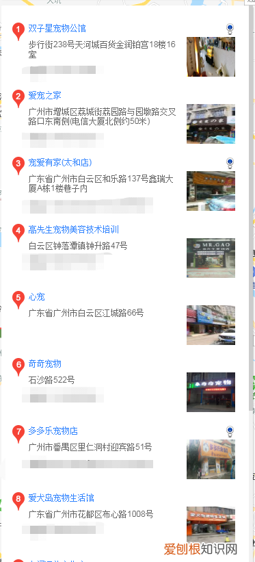 广州买雪纳瑞 广州买雪纳瑞的地方