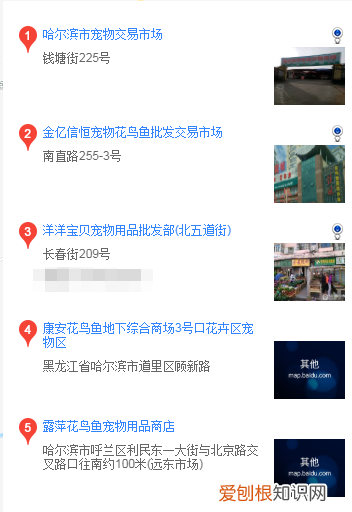 哈尔滨买雪纳瑞 哈尔滨怎么买雪纳瑞