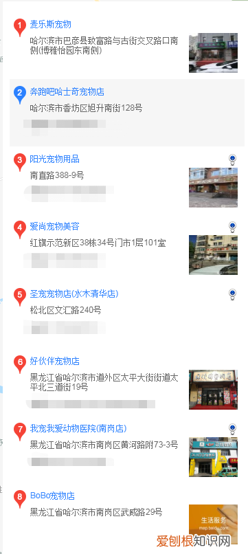 哈尔滨买雪纳瑞 哈尔滨怎么买雪纳瑞