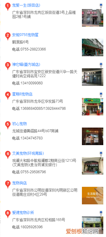 法斗在哪买 法斗在什么地方买好