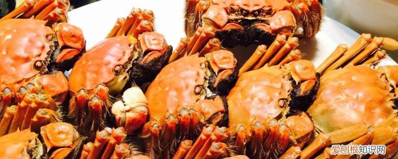 怎么让螃蟹不怕人 害怕螃蟹的人怎么处理