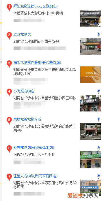 买德牧去哪儿 一般怎么买德牧