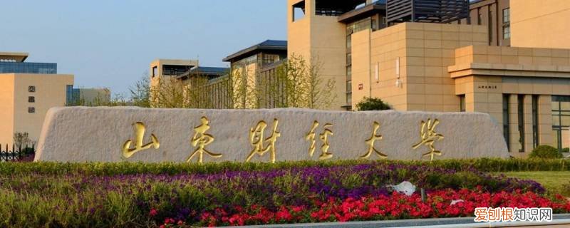 山西财经大学论文查重 山财心理论文查重吗