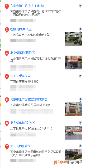 南京买拉布拉多 南京在什么地方买拉布拉多