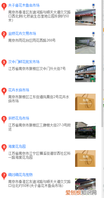 南京买拉布拉多 南京在什么地方买拉布拉多