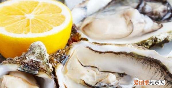 生蚝生吃什么意思，生蚝可以生吃 生蚝有什么营养吗