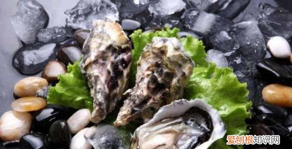 生蚝生吃什么意思，生蚝可以生吃 生蚝有什么营养吗
