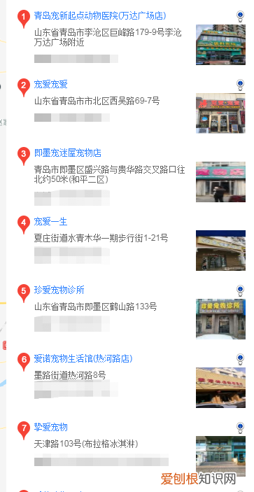 青岛买阿拉斯加 青岛什么地方买阿拉斯加