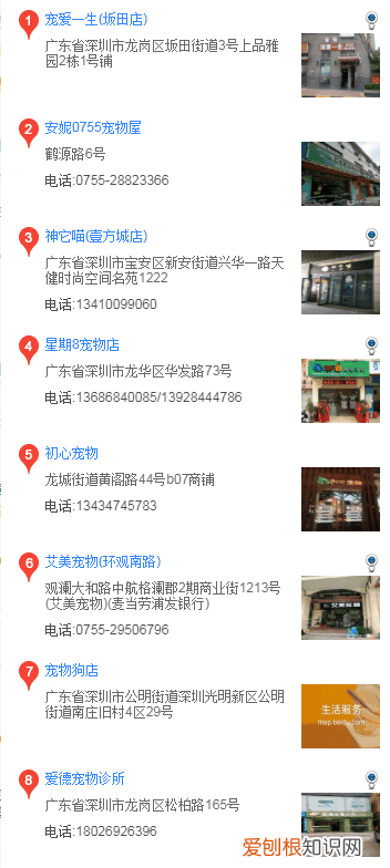 深圳买阿拉斯加 在深圳哪里买阿拉斯加