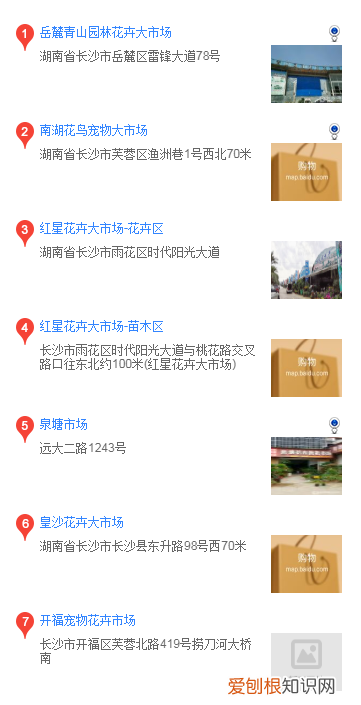 长沙买松狮 长沙买松狮的地方