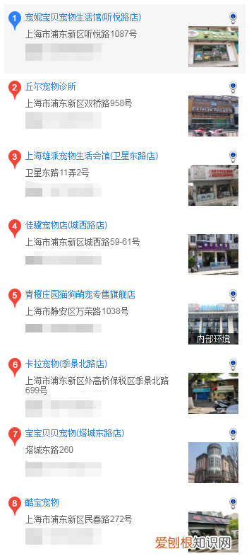 上海哪里买马尔济斯 上海怎么买马尔济斯犬