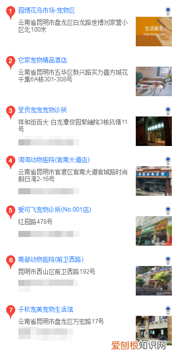 昆明哪里去买马尔济斯 昆明怎么买马尔济斯犬