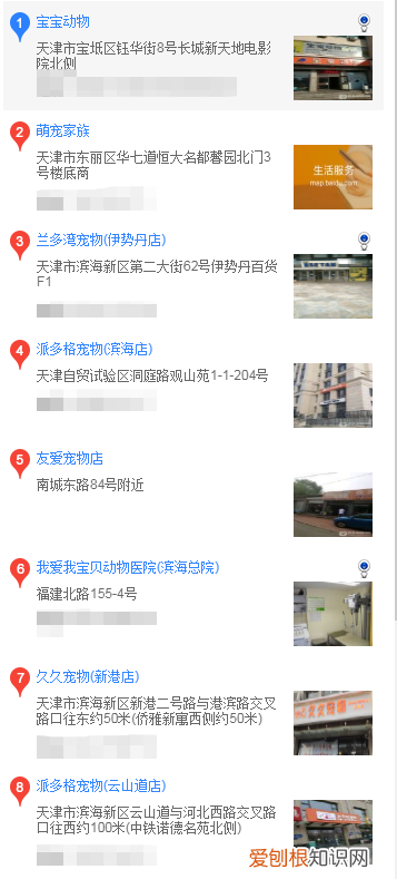 天津买萨摩耶 天津在什么地方买萨摩耶