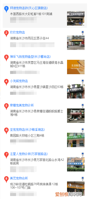 萨摩耶在哪里买 哪里买萨摩耶