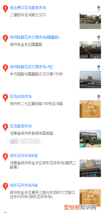 郑州买泰迪 郑州在什么地方买泰迪