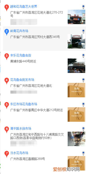 广州哪里买金毛 广州在什么地方购买金毛