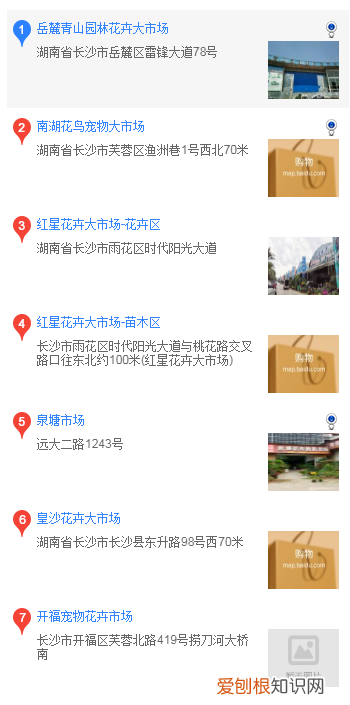 金毛哪里买 金毛在什么地方购买