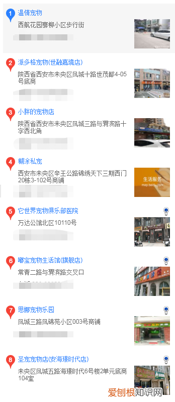 西安买柴犬 西安在哪里买柴犬