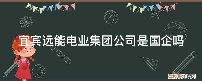 宜宾力源电机厂是国企吗 宜宾远能电业集团公司是国企吗