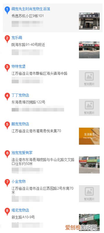 连云港有买可卡犬吗 连云港怎么买可卡犬