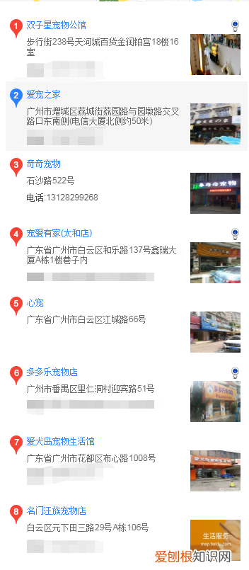 可卡犬怎么买 可卡犬的购买方法