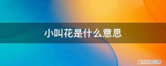 小叫花子是什么意思 小叫花是什么意思