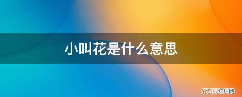 小叫花子是什么意思 小叫花是什么意思