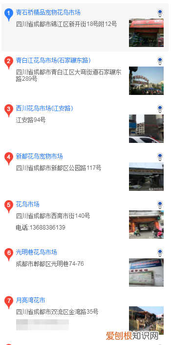成都怎么买吉娃娃 成都买吉娃娃的方法