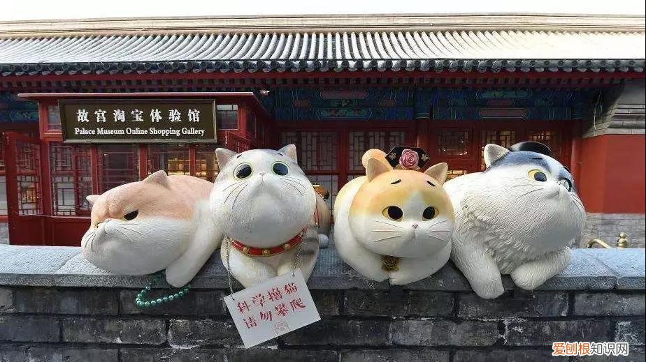 故宫的猫在哪里能找到 给你一张找猫地图！