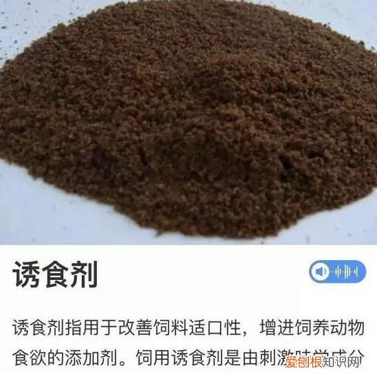 淘宝上便宜的猫粮是用什么做的 说出来你可能都不相信….