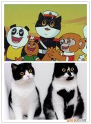 黑猫警长是什么猫 这些动漫中的猫你知道是什么品种吗？