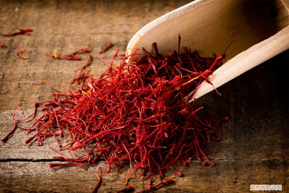 藏红花盆栽的种植方法 藏红花种植方法，室内可以种植吗