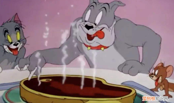 猫和老鼠里面的狗是什么品种 猫和老鼠的狗是什么品种狗