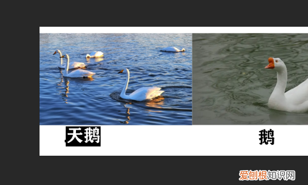 ps怎么字体加粗，PS应该如何加粗字体