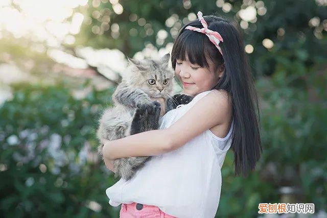 猫为什么会感染新冠 猫咪会不会感染新冠病