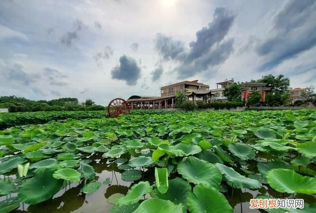 美版三星note10+和国行的区别