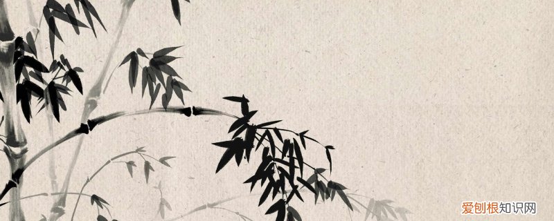 黑色属于暖色还是冷色 怎么搭配颜色