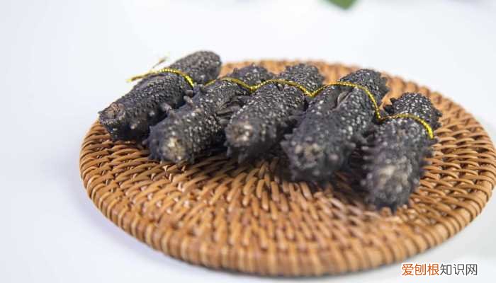 海参属于海鲜吗还是海鲜 海参属于海鲜吗