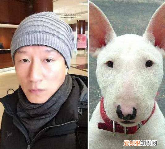 杨丞琳给李荣浩和狗的图片 这俩猫是李荣浩和杨丞琳家养的的吧,简直一毛一样!