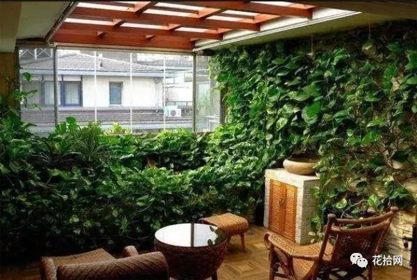 教你这样养花小说,干货 | 大神都在用的养花妙招,学会这几招,花卉蹭蹭的长!