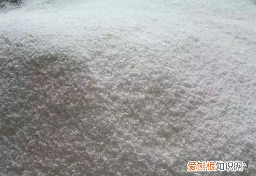 教你这样养花小说,干货 | 大神都在用的养花妙招,学会这几招,花卉蹭蹭的长!