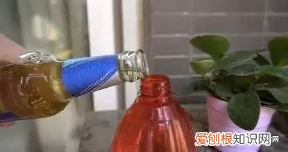 教你这样养花小说,干货 | 大神都在用的养花妙招,学会这几招,花卉蹭蹭的长!