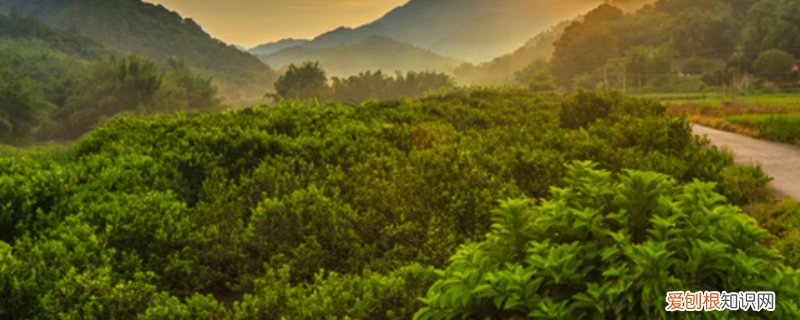 广州是平原地区吗 广州清远是平原还是山区