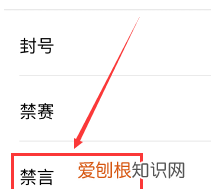 王者荣耀禁言规则及时间,王者荣耀如何设置精准禁言