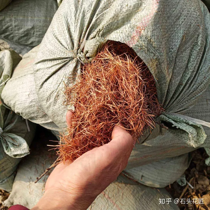 养花是个技术活，养花30年的老花匠，透漏5个“小秘方”，再也不怕养花出问题了